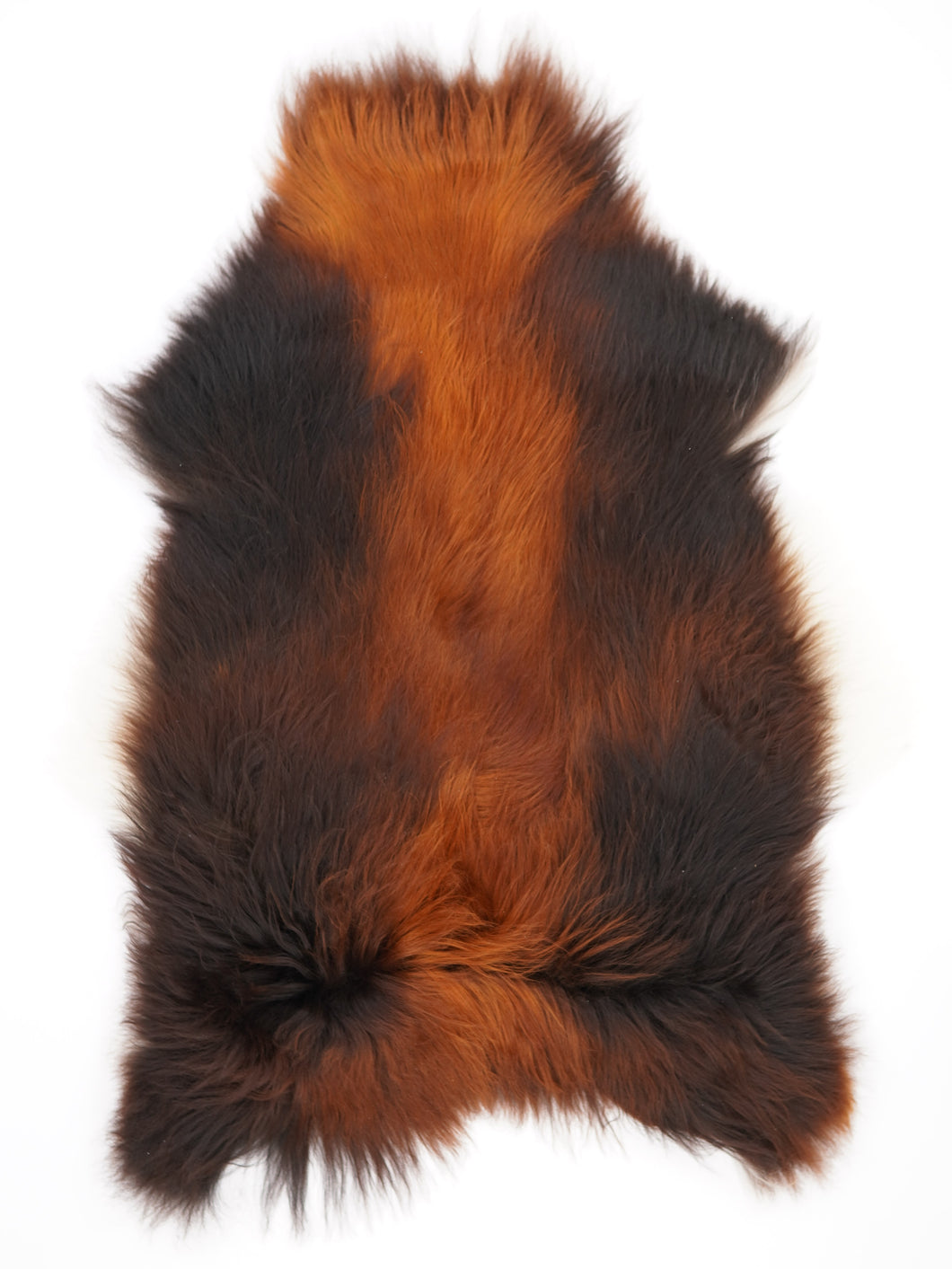 Islandská ovčí kůže „Rusty“ XL