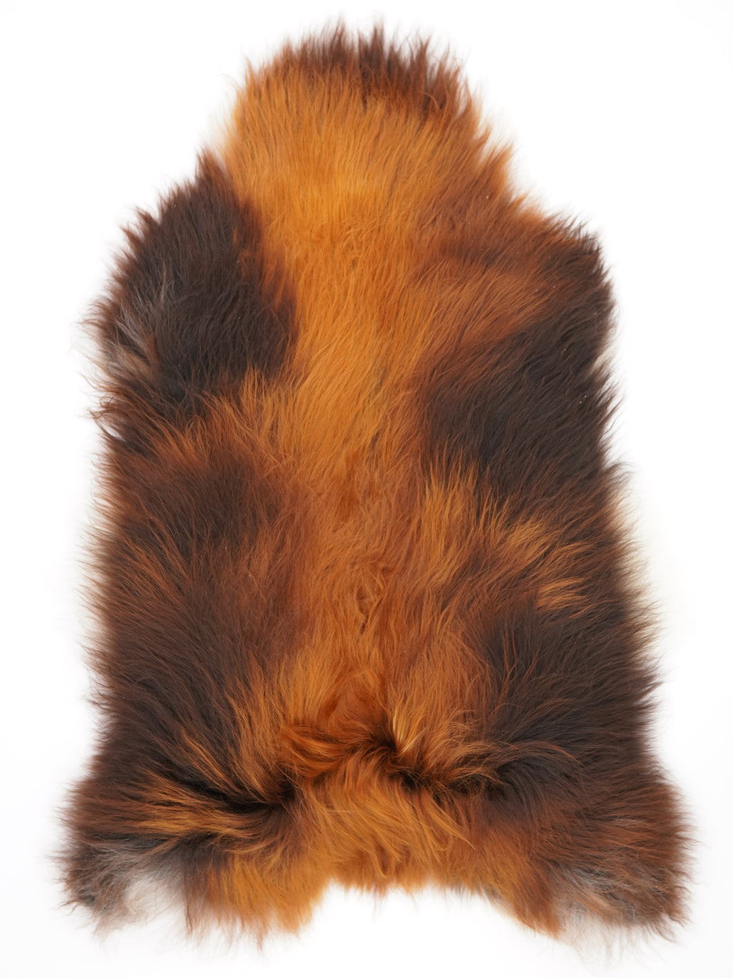 Islandská ovčí kůže „Rusty“ XXL