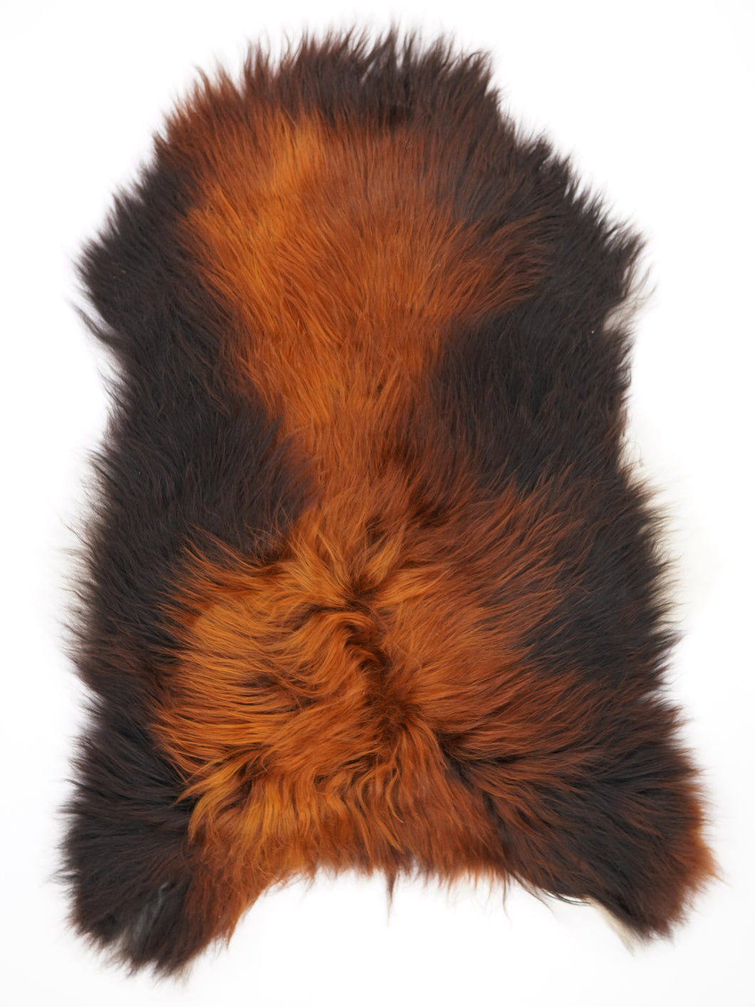 Islandská ovčí kůže „Rusty“ XXL