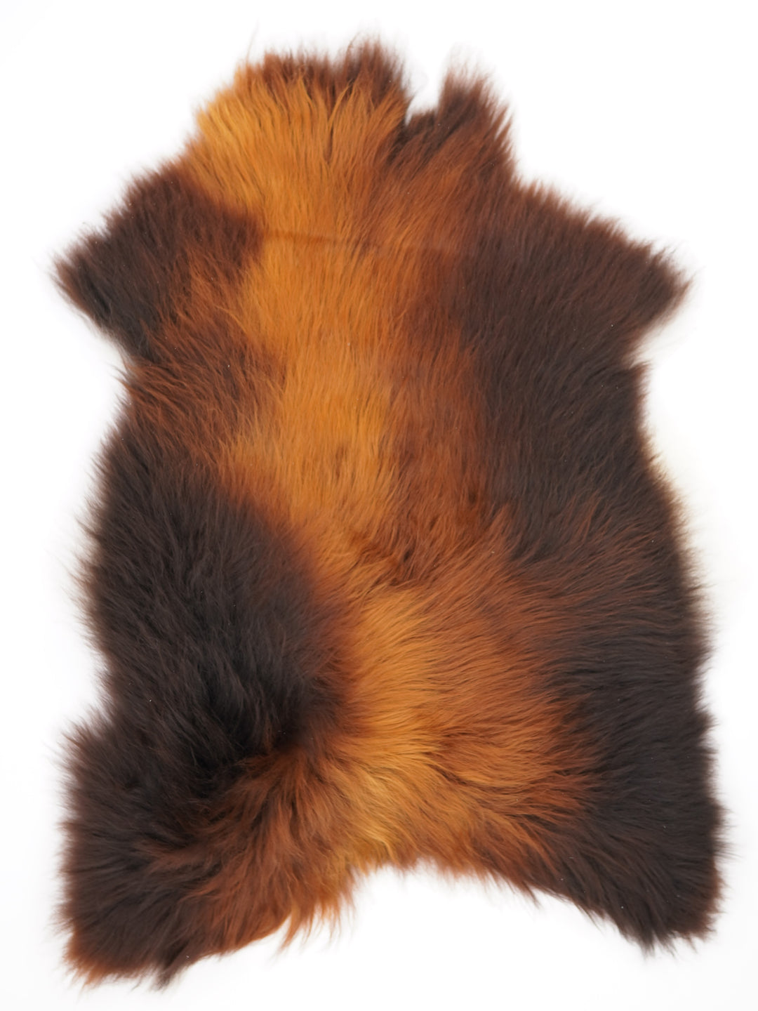 Islandská ovčí kůže "Rusty" XL