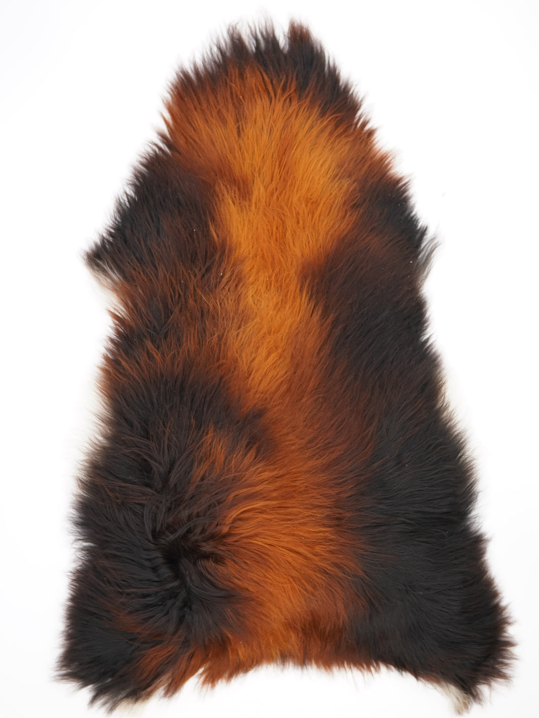 Islandská ovčí kůže „Rusty“ XXXL