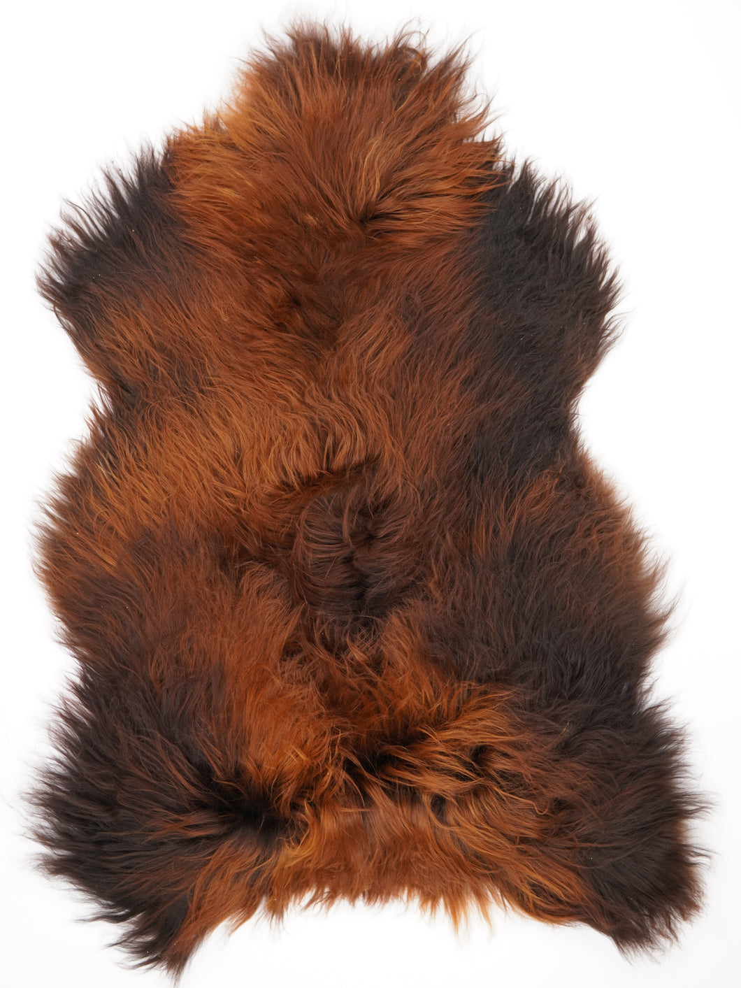 Islandská ovčí kůže „Rusty“ XXL