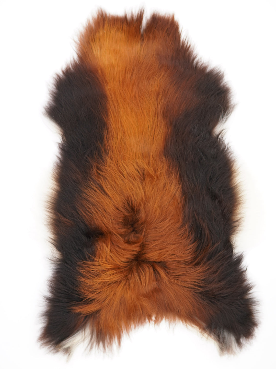 Islandská ovčí kůže "Rusty" XL
