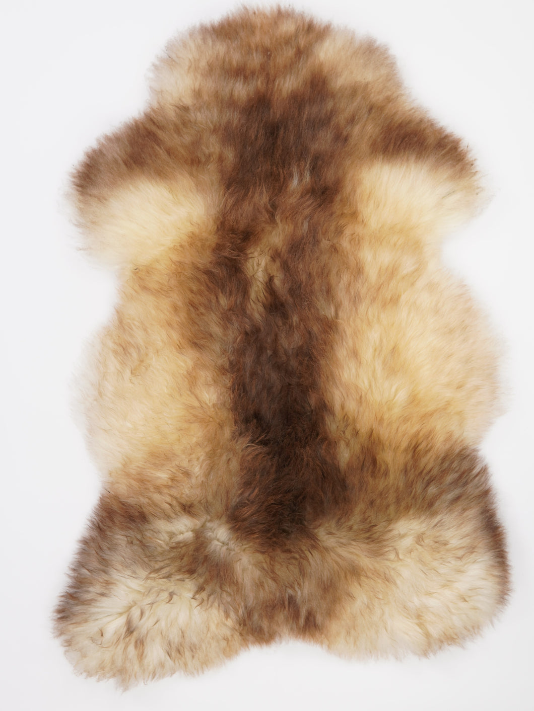 Įvairiaspalvis avikailis XXL