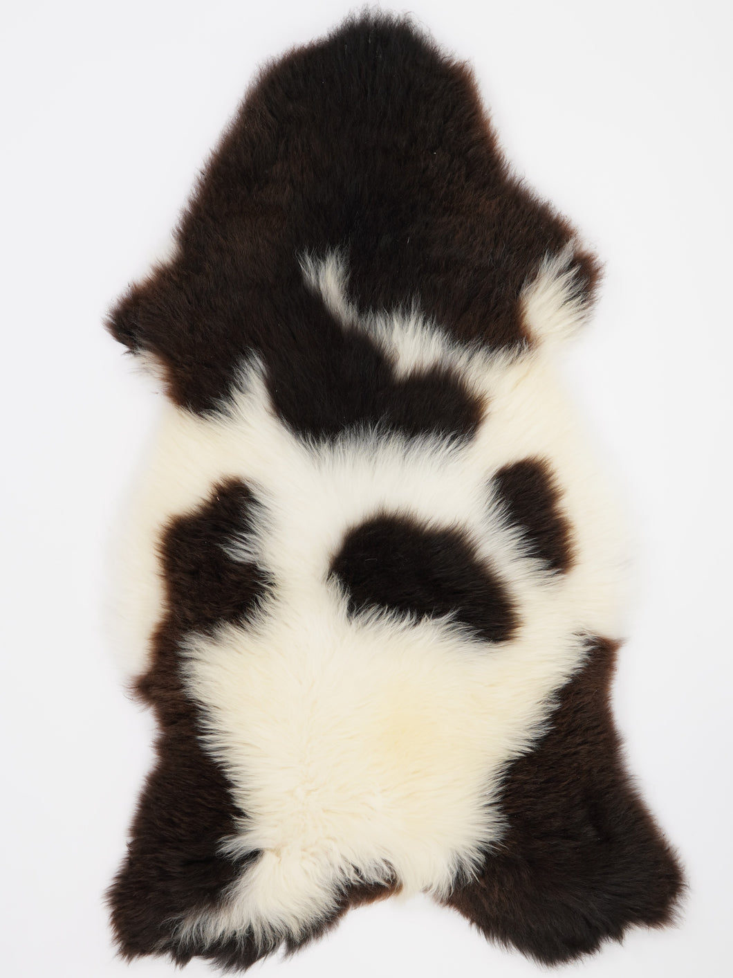 Įvairiaspalvis avikailis XL