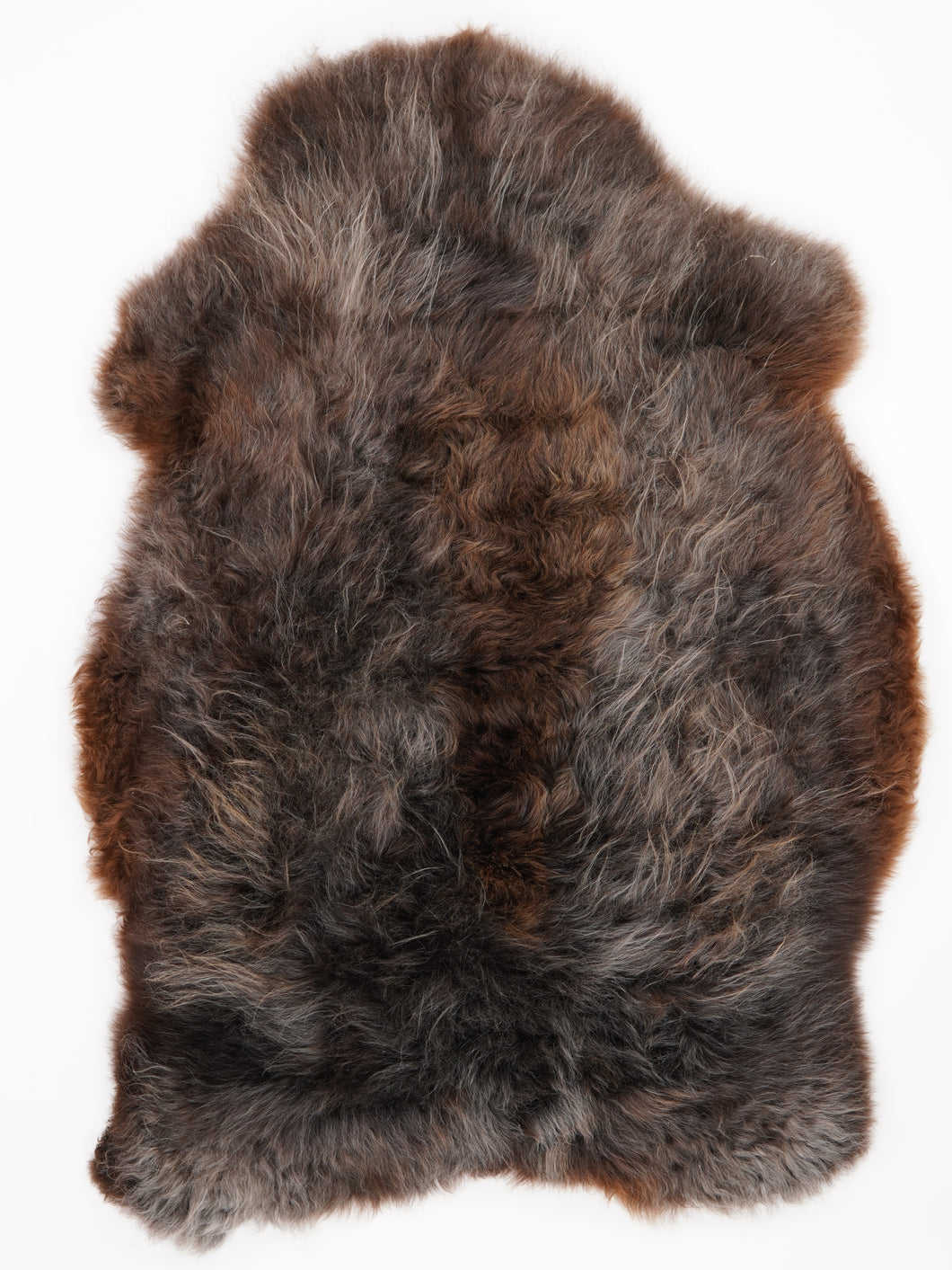 Įvairiaspalvis avikailis XXL