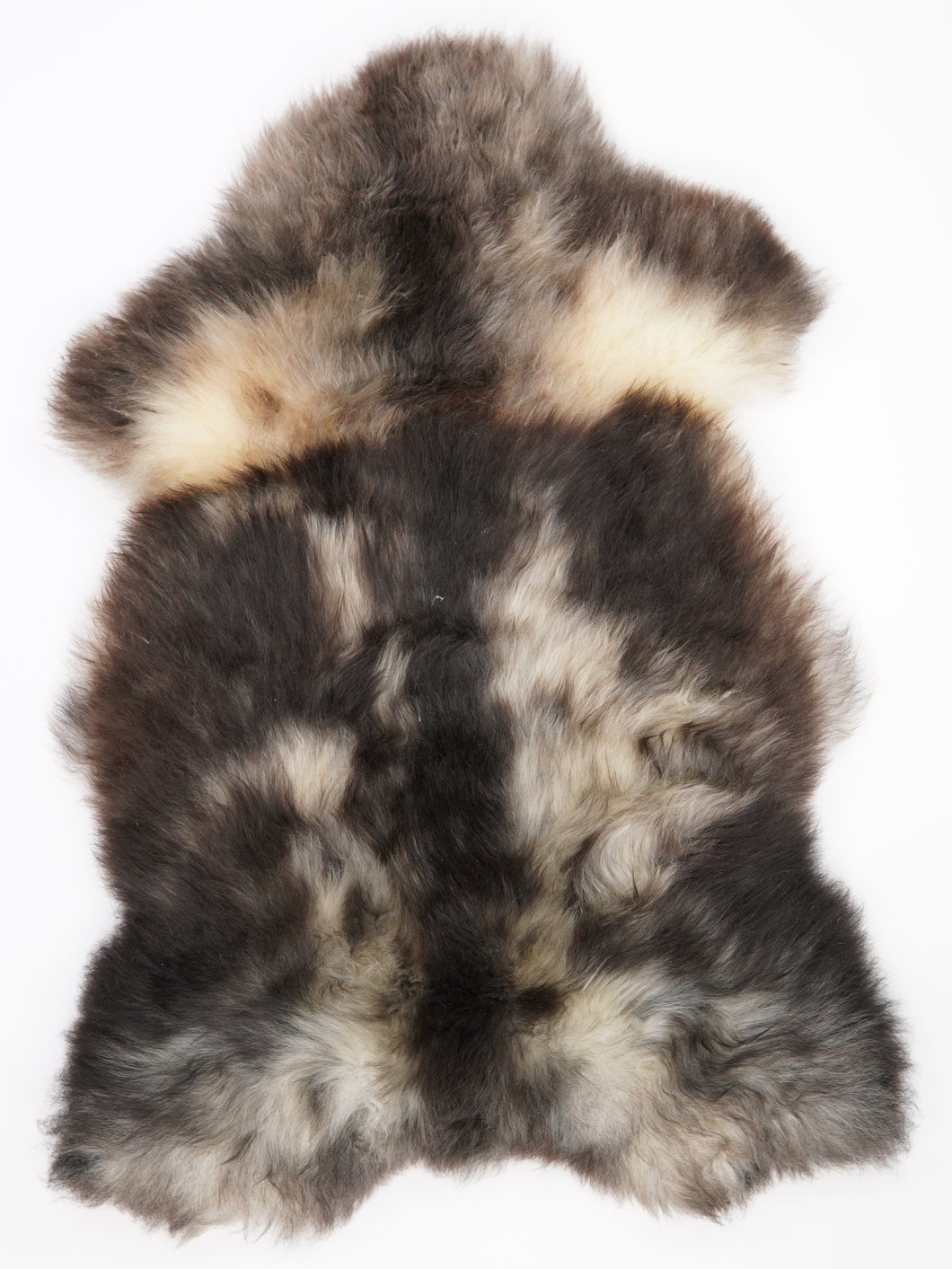 Įvairiaspalvis avikailis XL