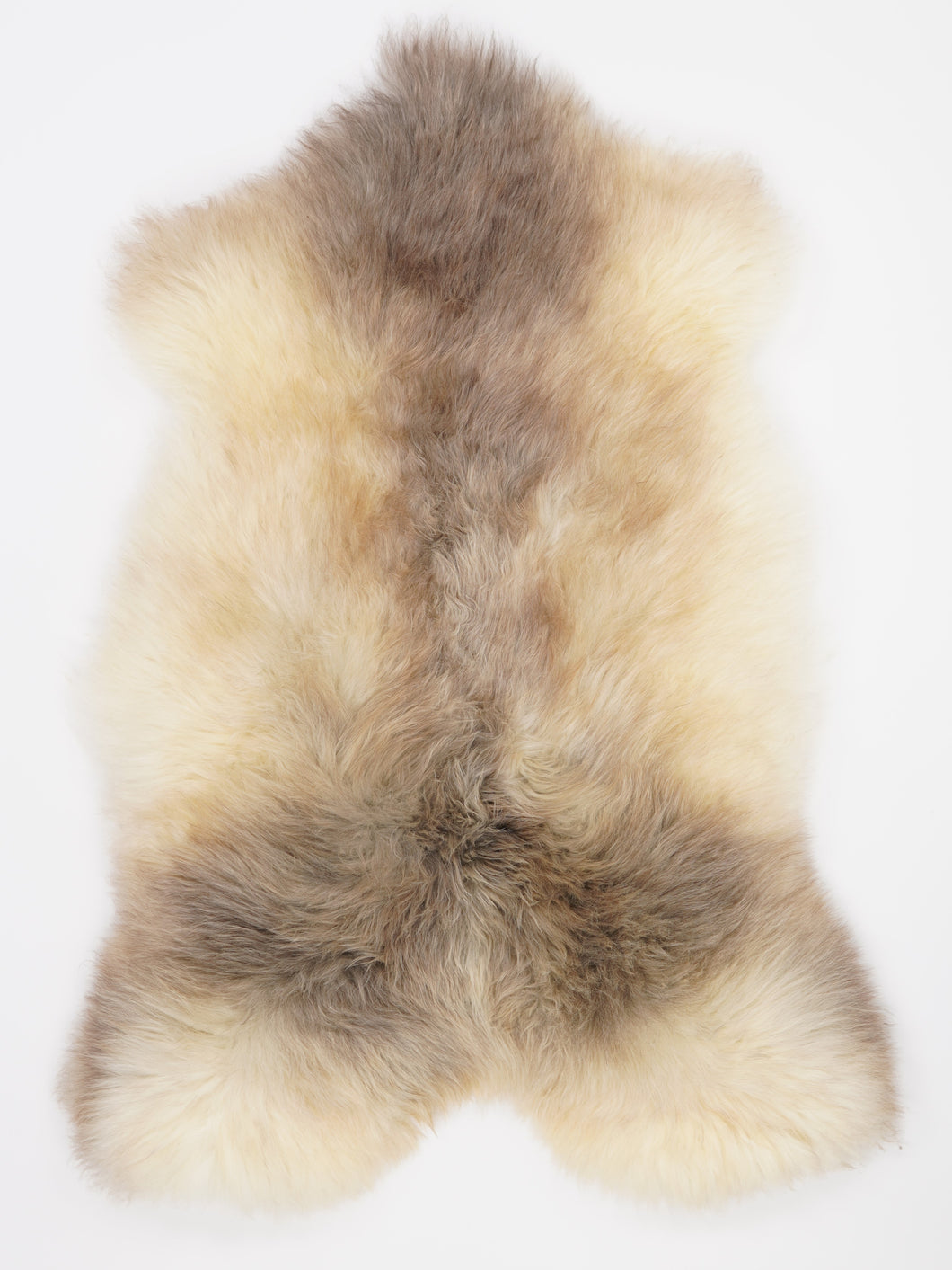 Įvairiaspalvis avikailis XL