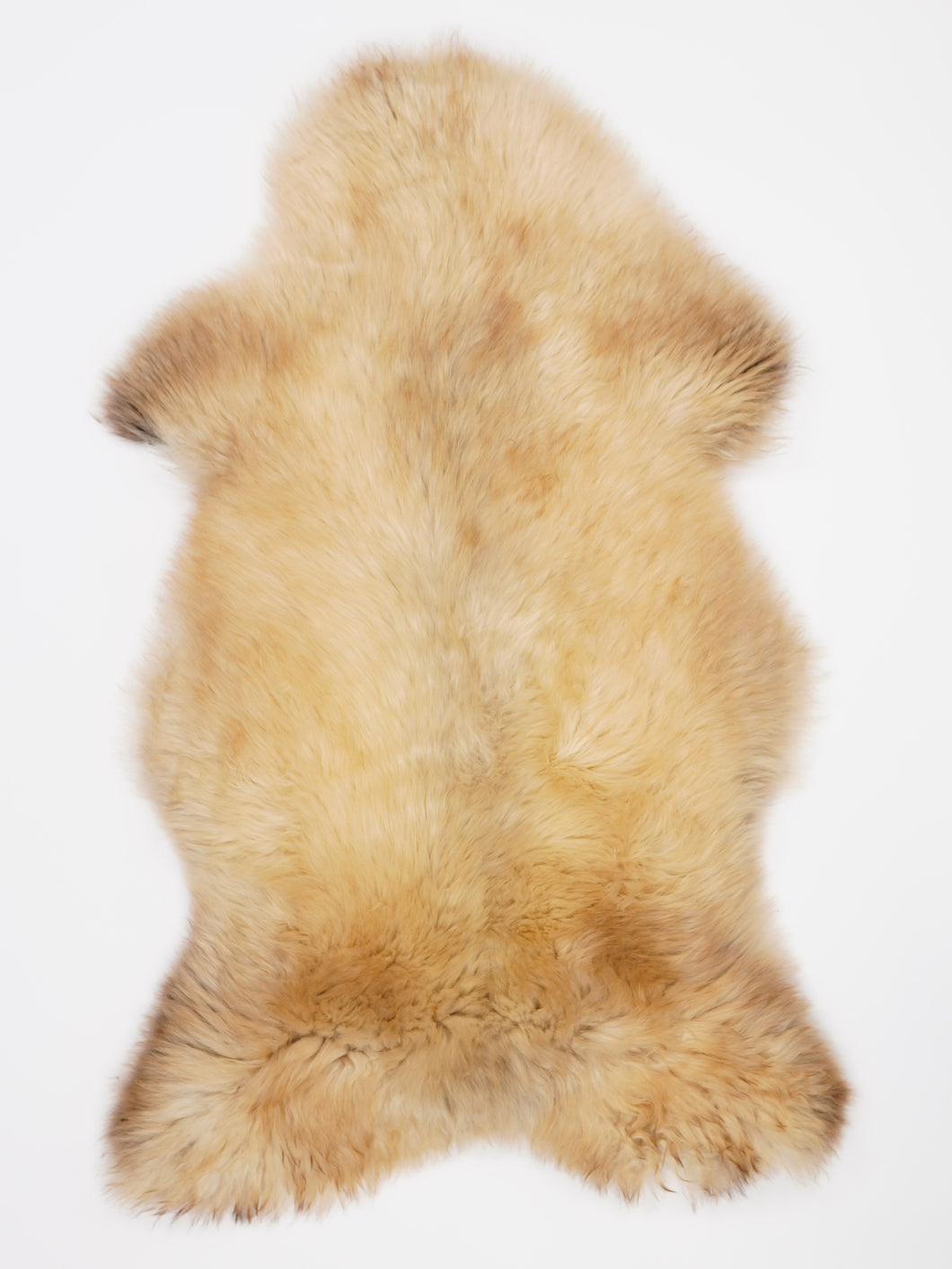 Įvairiaspalvis avikailis XL