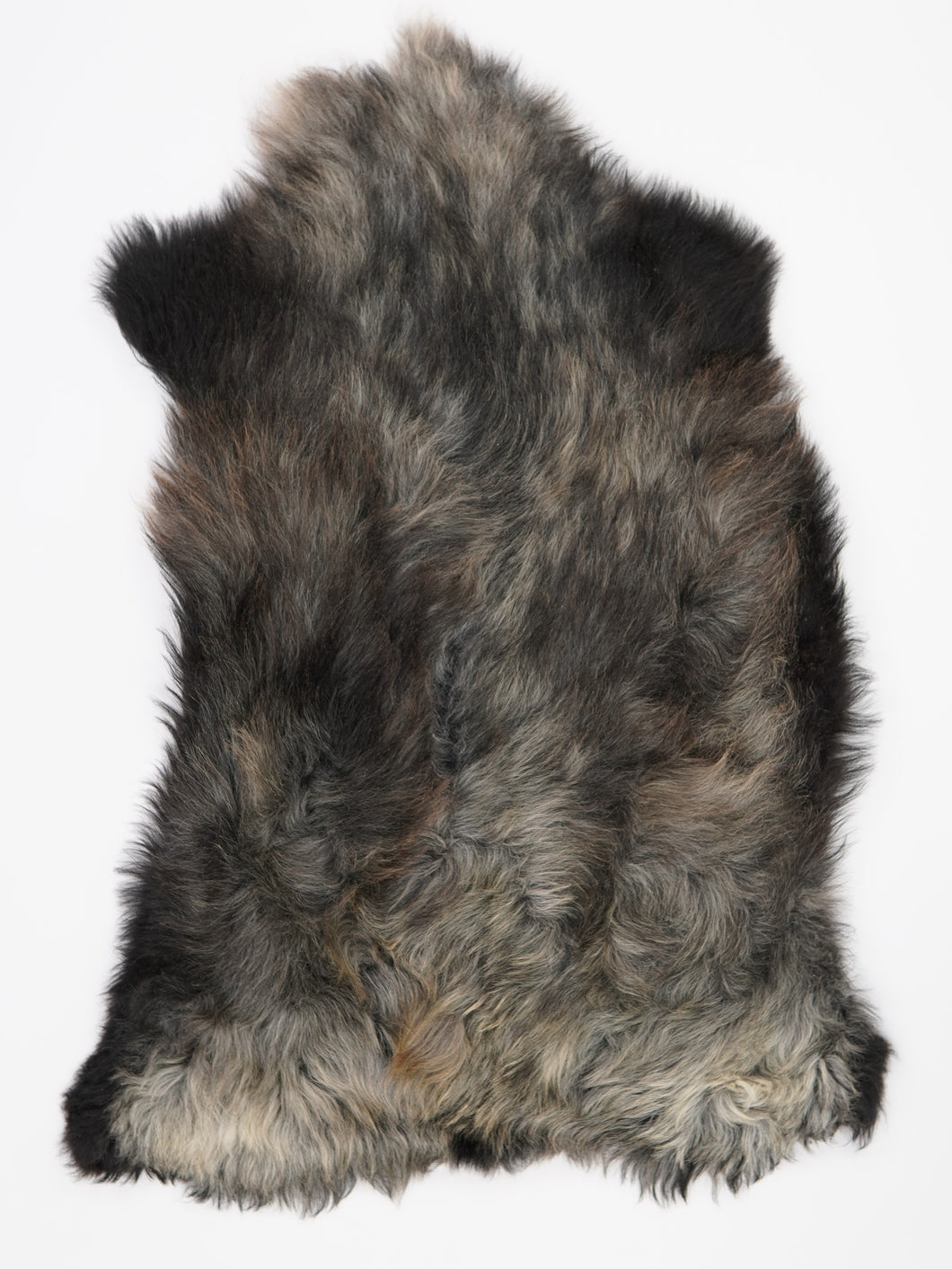 Įvairiaspalvis avikailis XL