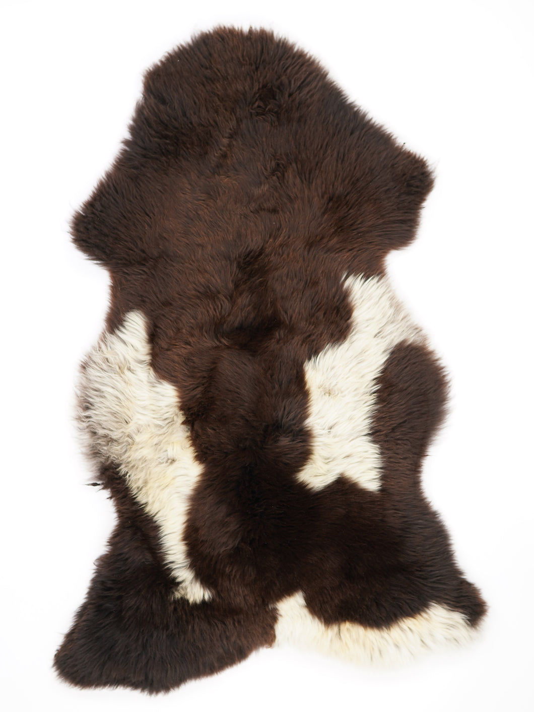 Įvairiaspalvis avikailis XXL