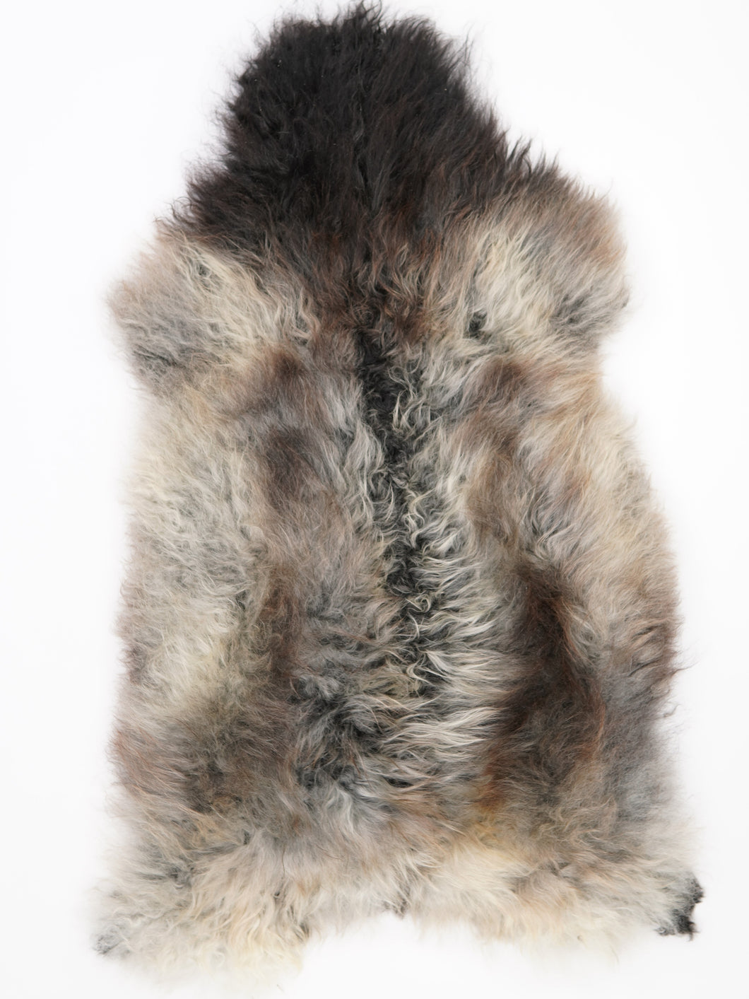 Įvairiaspalvis avikailis XXL