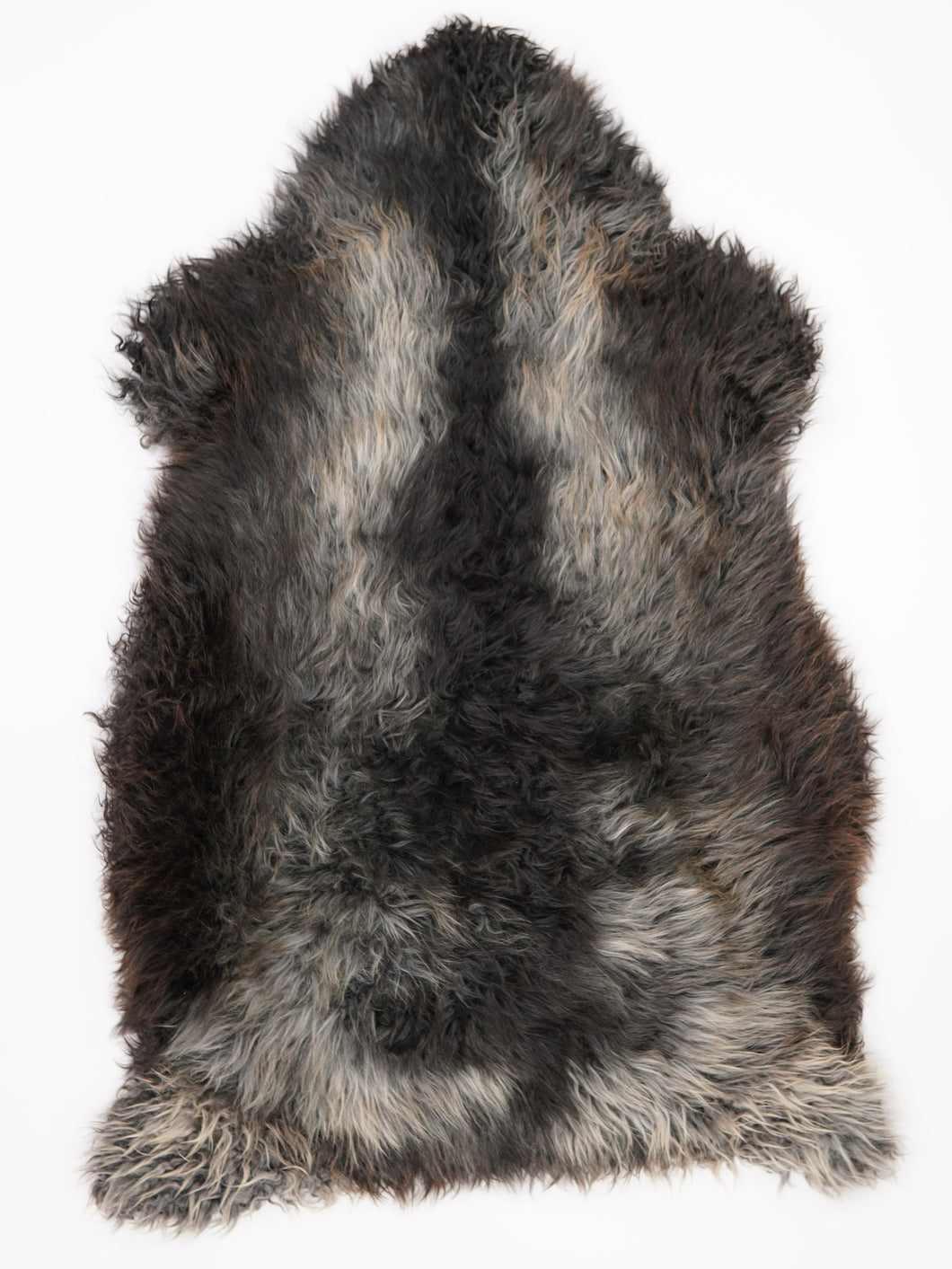 Įvairiaspalvis avikailis XXL