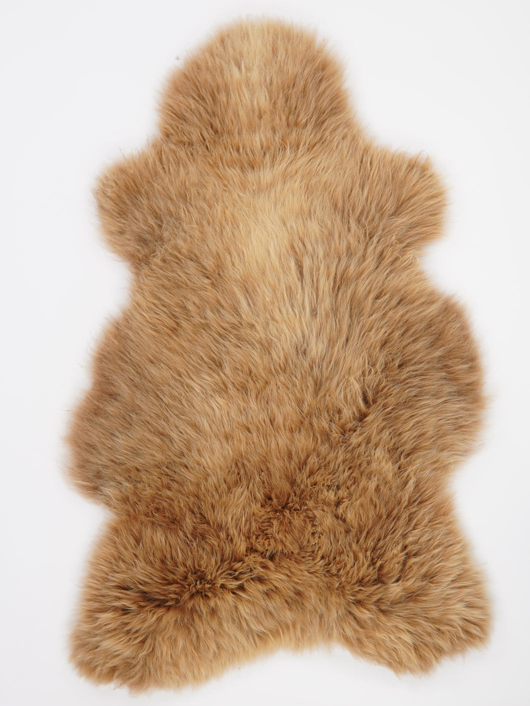 Įvairiaspalvis avikailis XXL