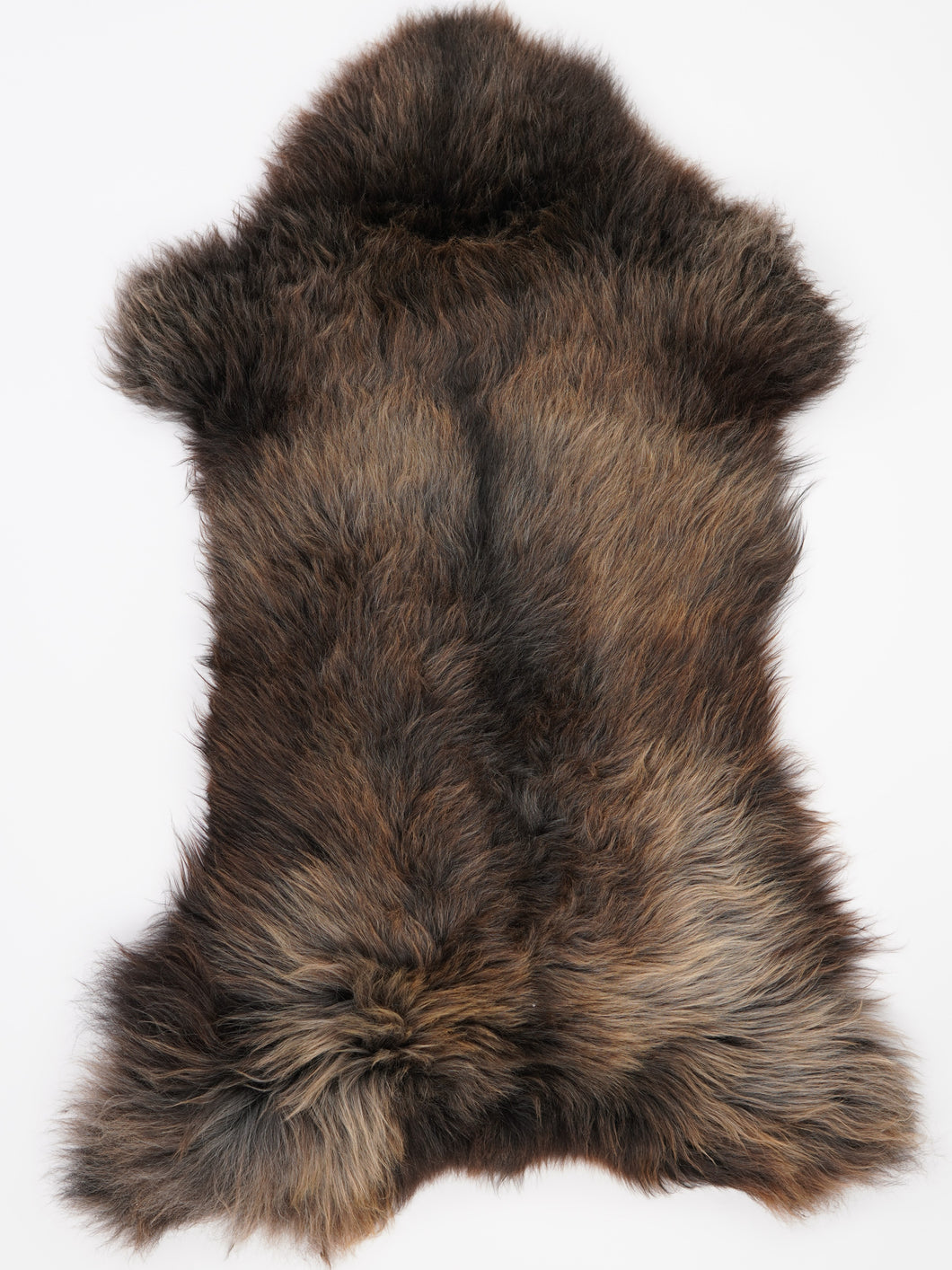 Įvairiaspalvis avikailis XXXL