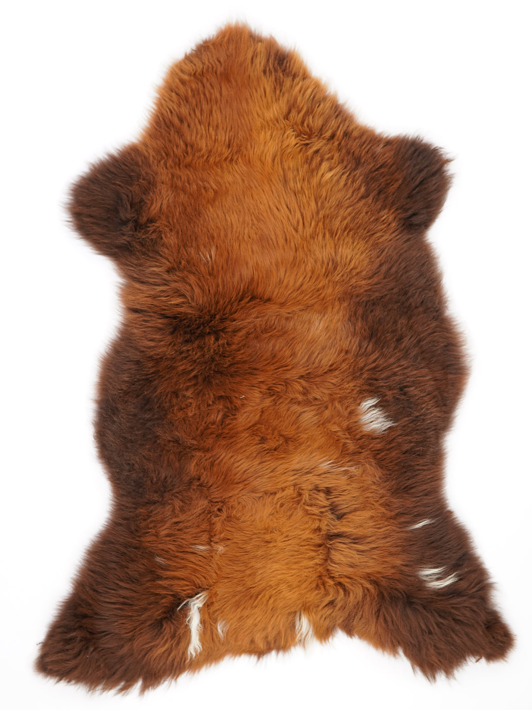 Rudas avikailis "Rusty" XL