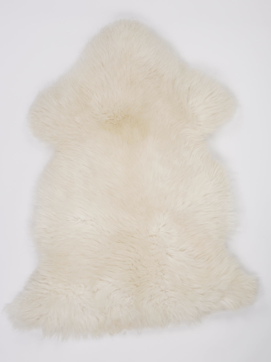 Skandinaviškas baltas avikailis L