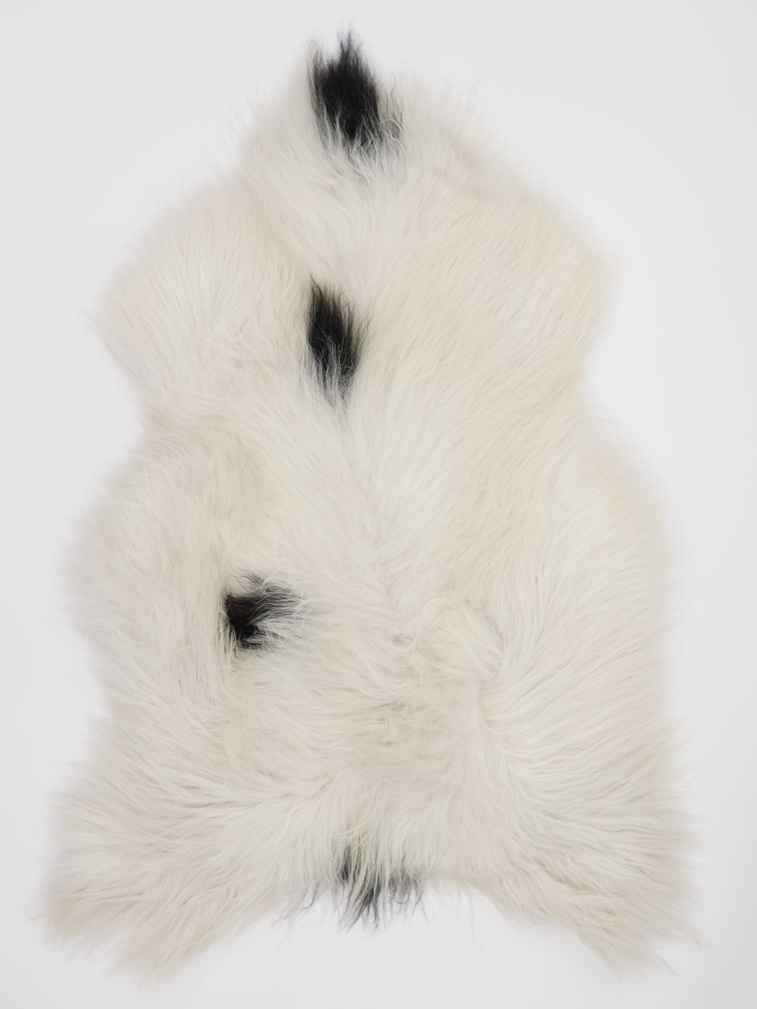 Islandská ovčí kůže XL