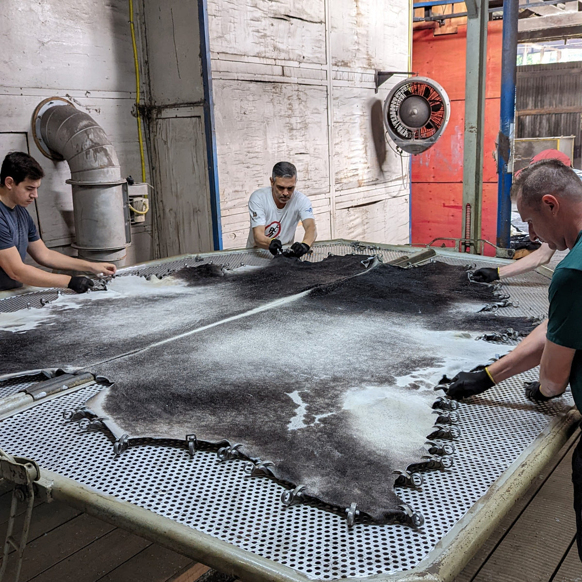 Autentiška. <em>Natūralu.</em> Išraiškinga