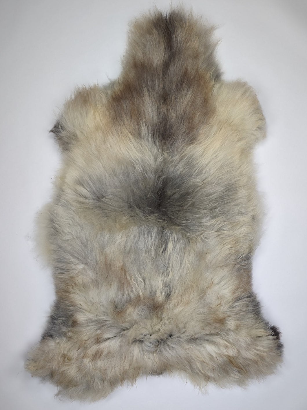 Įvairiaspalvis avikailis XL