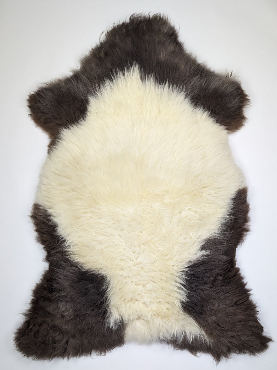 Įvairiaspalvis avikailis XL