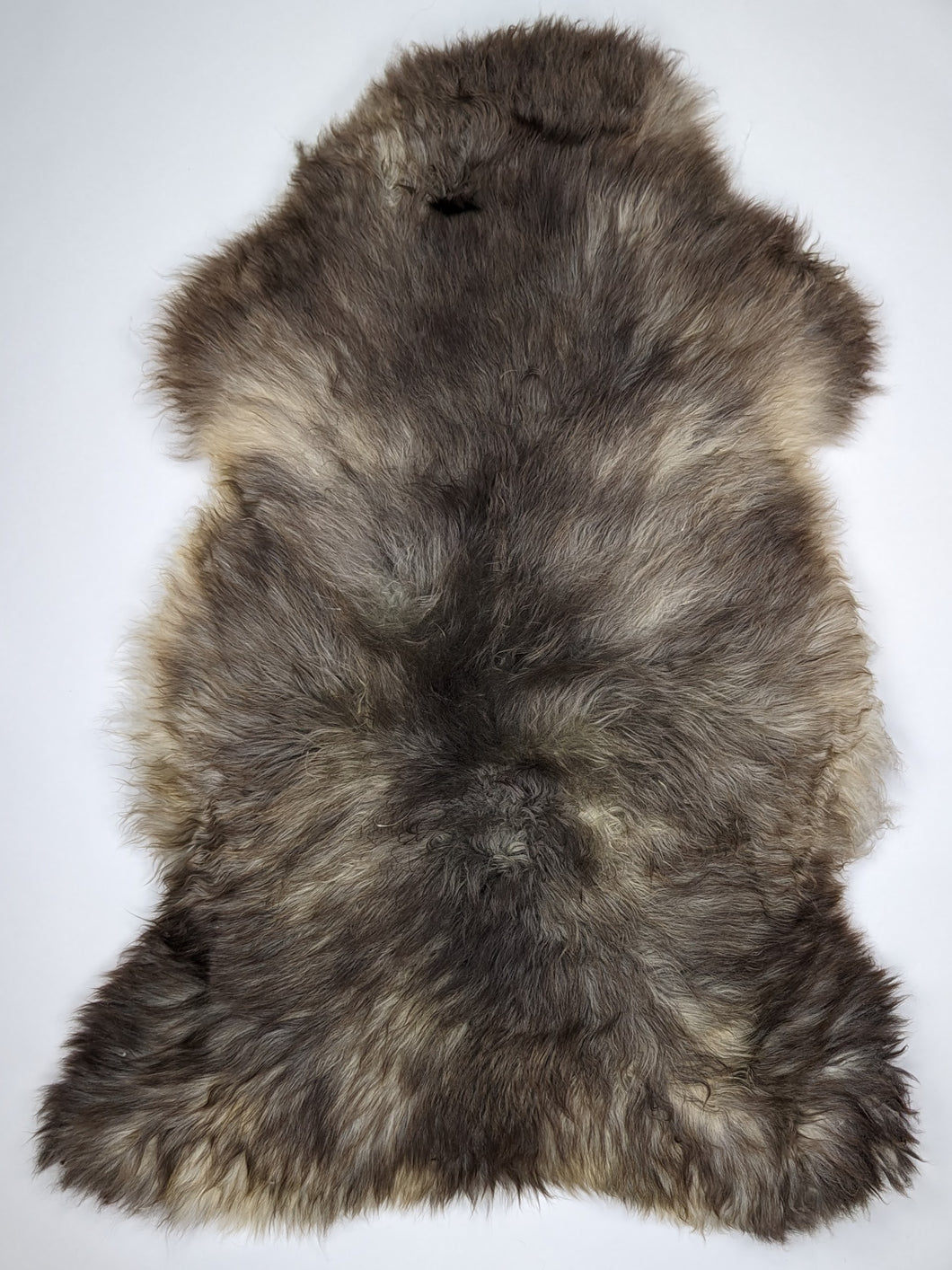 Įvairiaspalvis avikailis XL