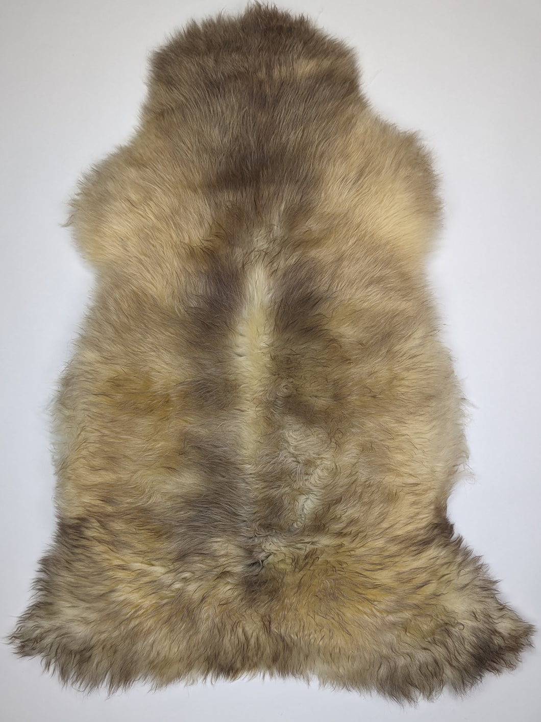 Įvairiaspalvis avikailis XL