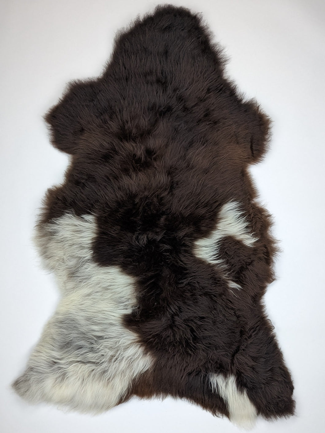 Įvairiaspalvis avikailis XL