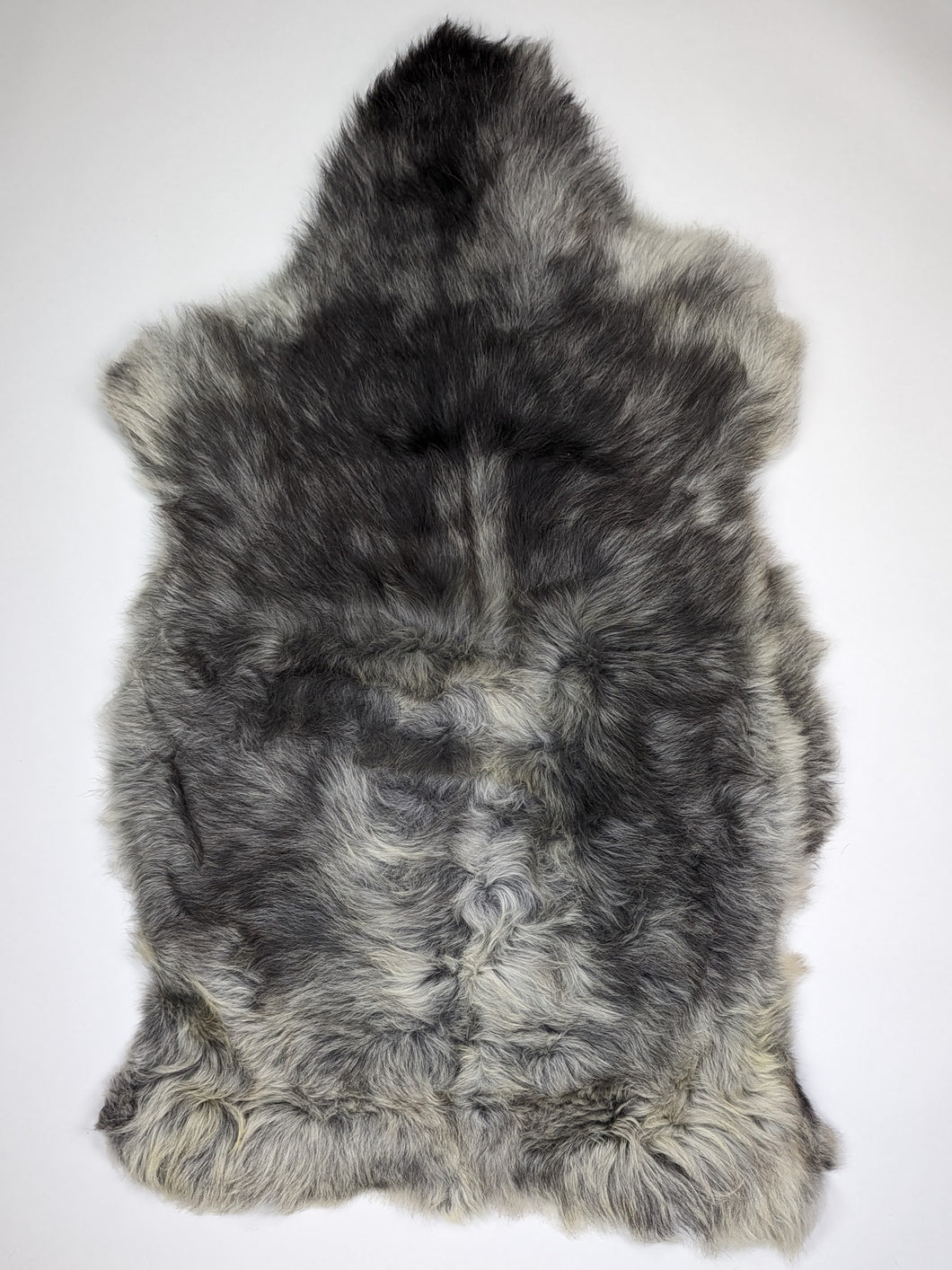 Įvairiaspalvis avikailis XXL