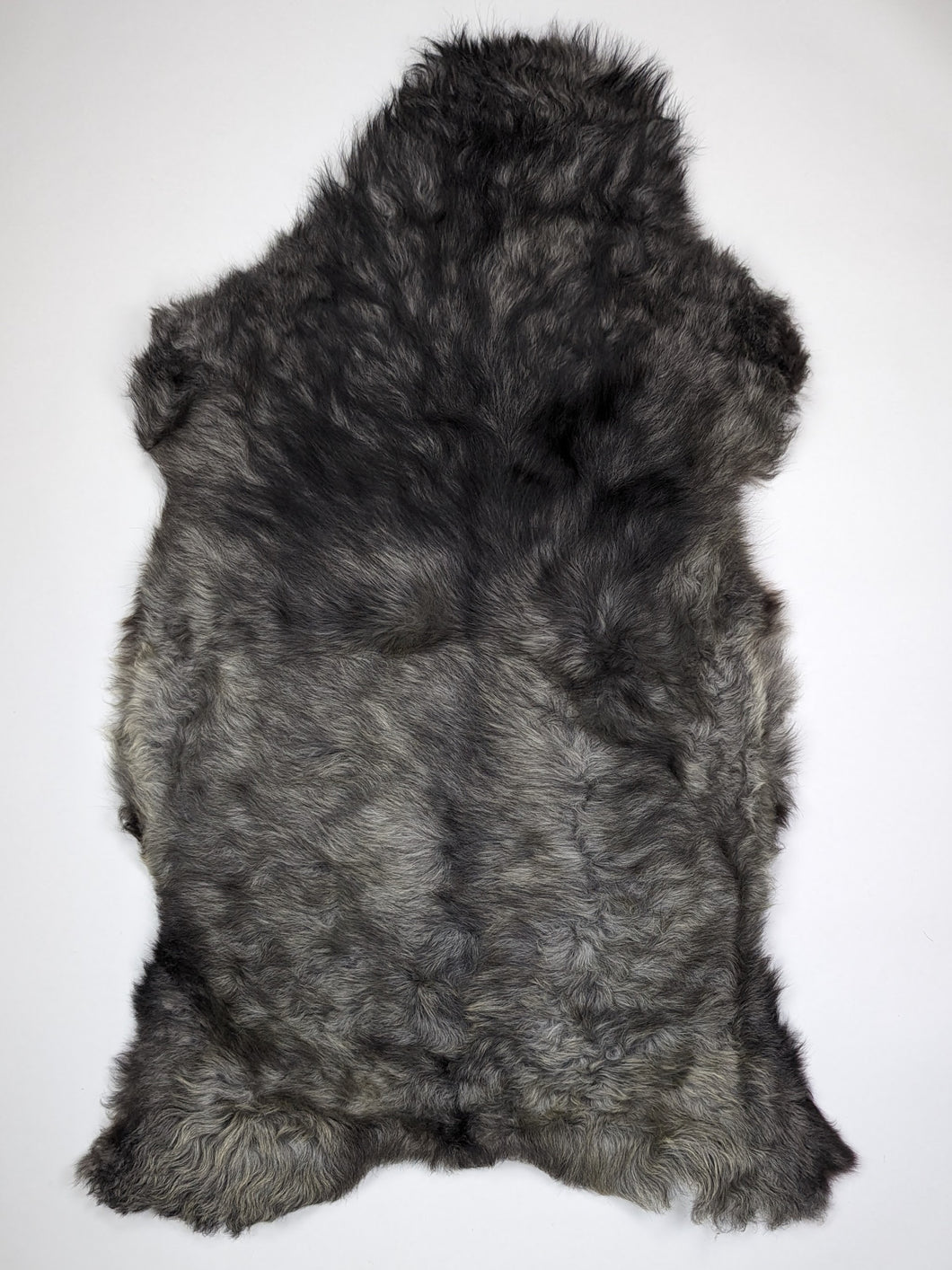 Įvairiaspalvis avikailis XL