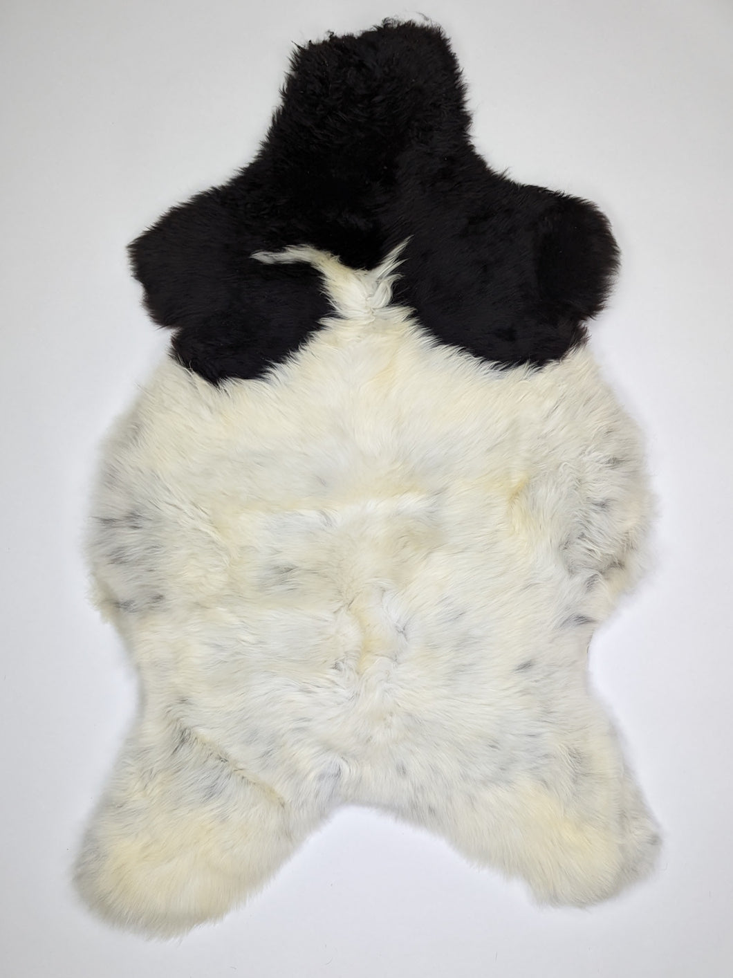 Įvairiaspalvis avikailis L