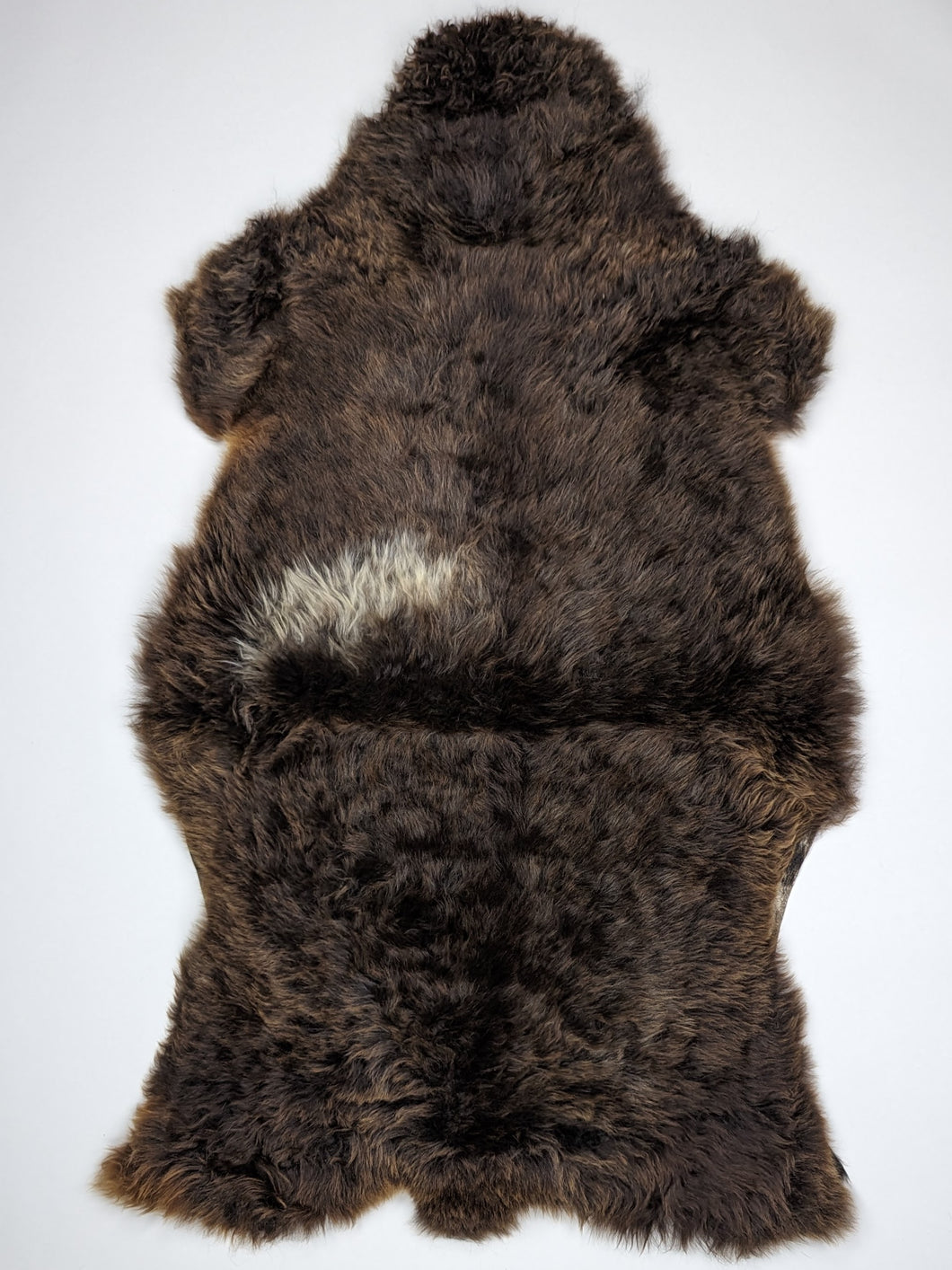 Įvairiaspalvis avikailis XL