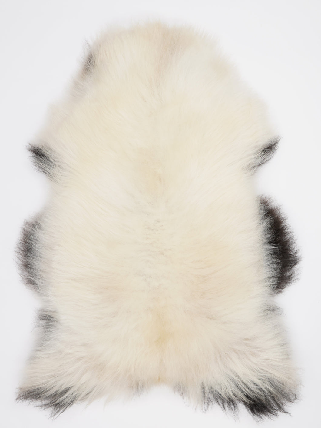 Islandská ovčí kůže XL