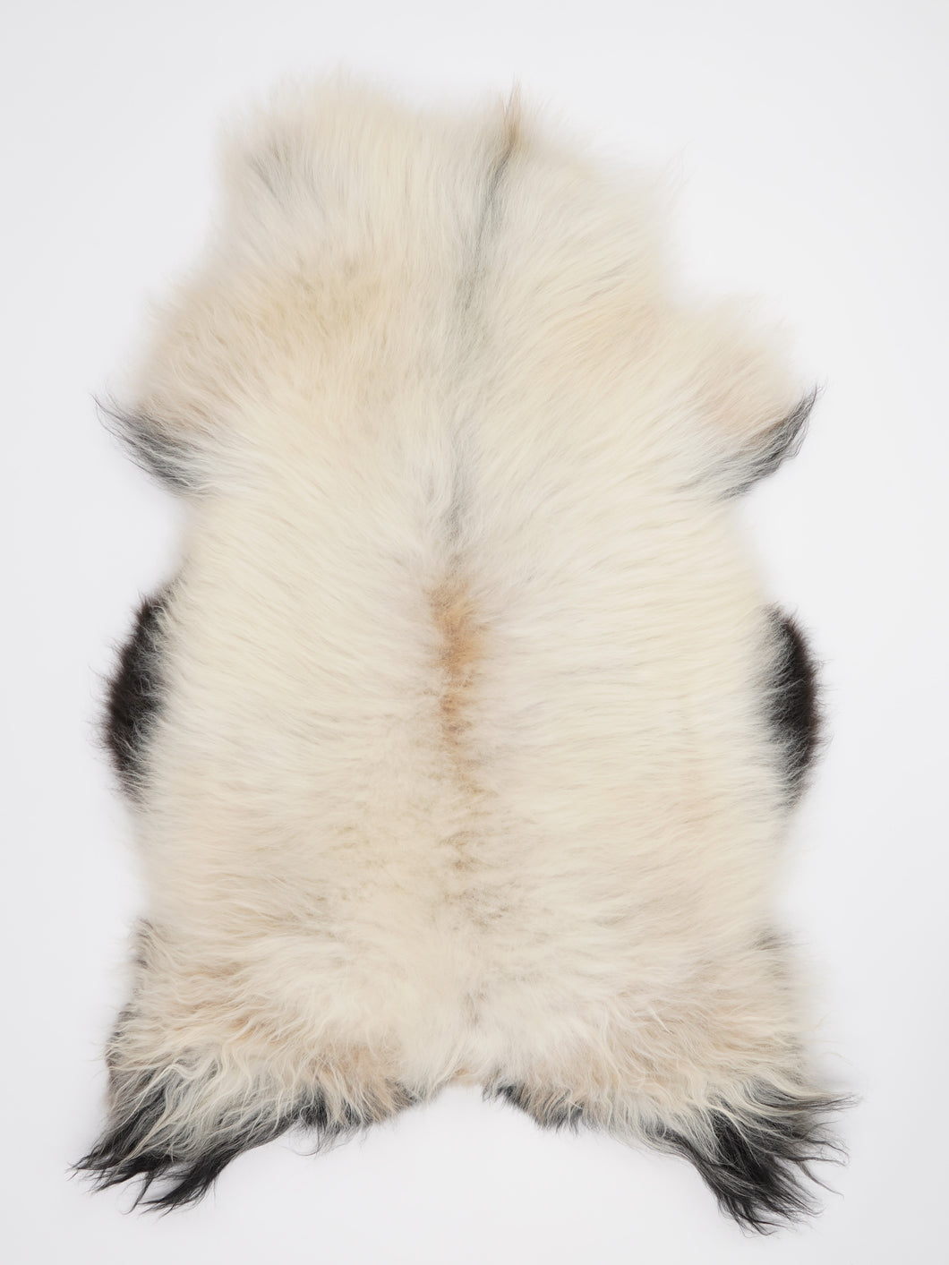 Islandská ovčí kůže XXL
