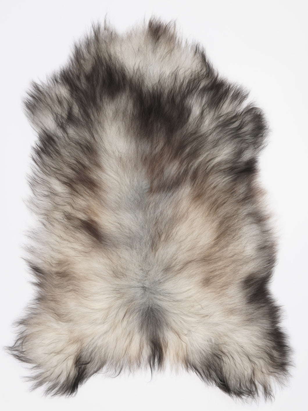 Pilkas islandiškas avikailis XXL