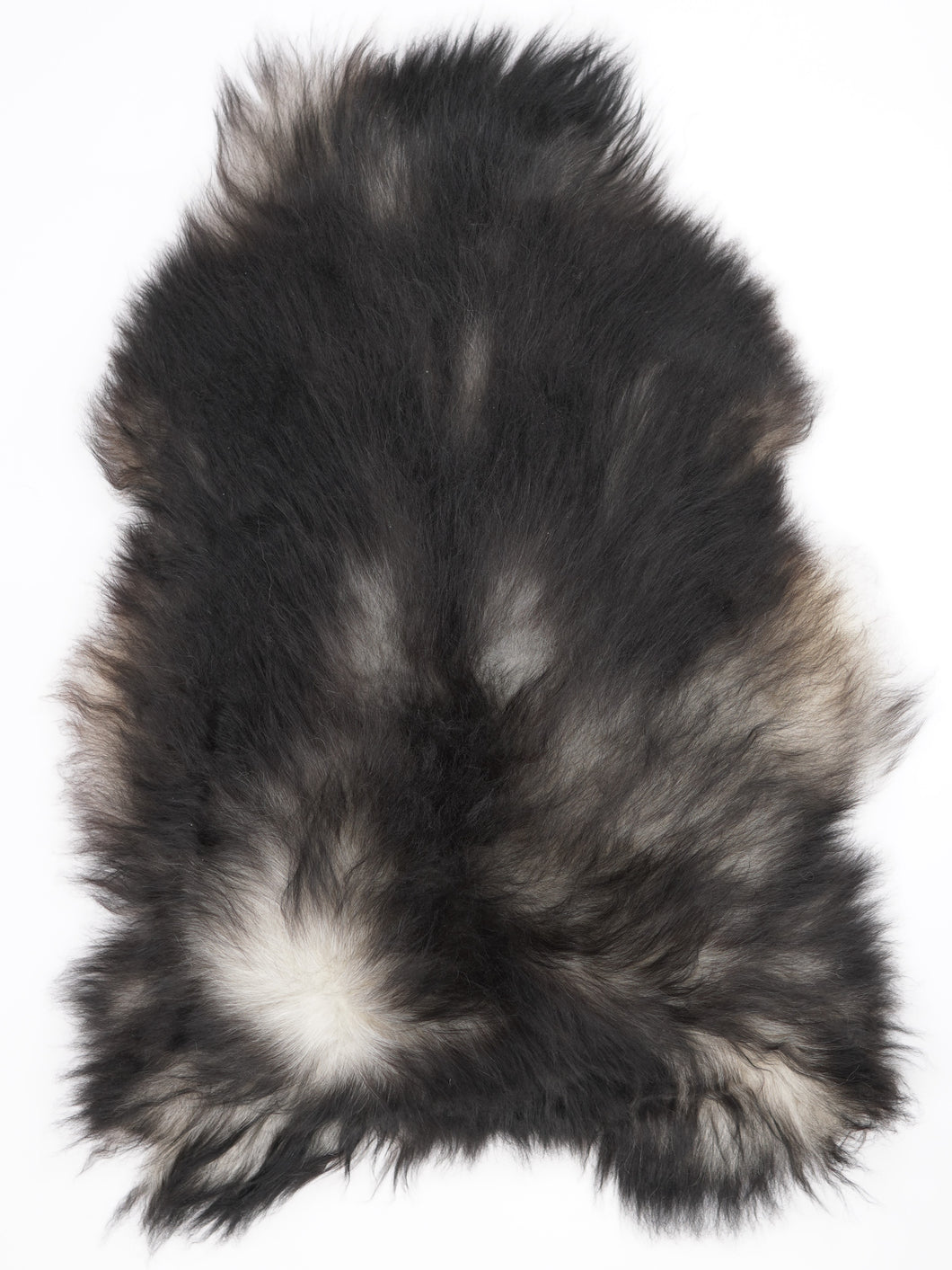 Pilkas islandiškas avikailis XL