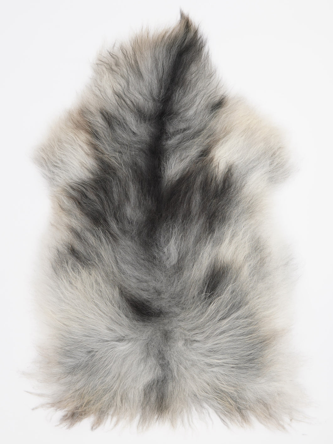 Pilkas islandiškas avikailis L