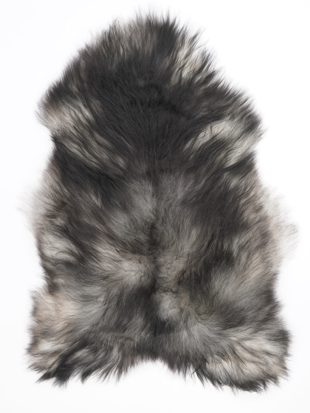 Pilkas islandiškas avikailis L