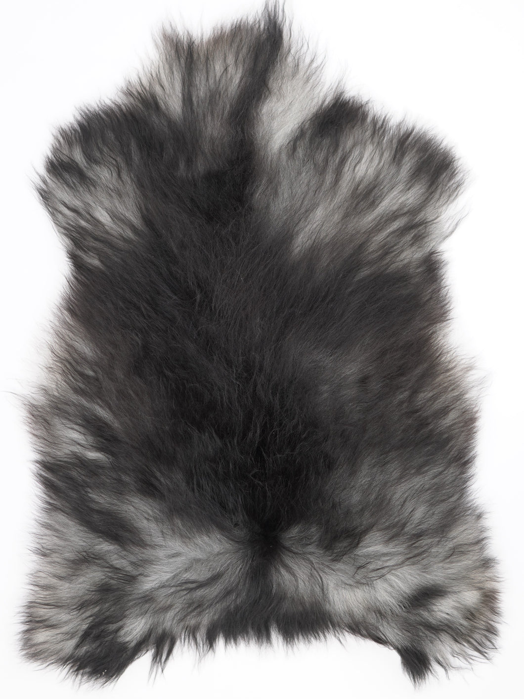 Pilkas islandiškas avikailis L