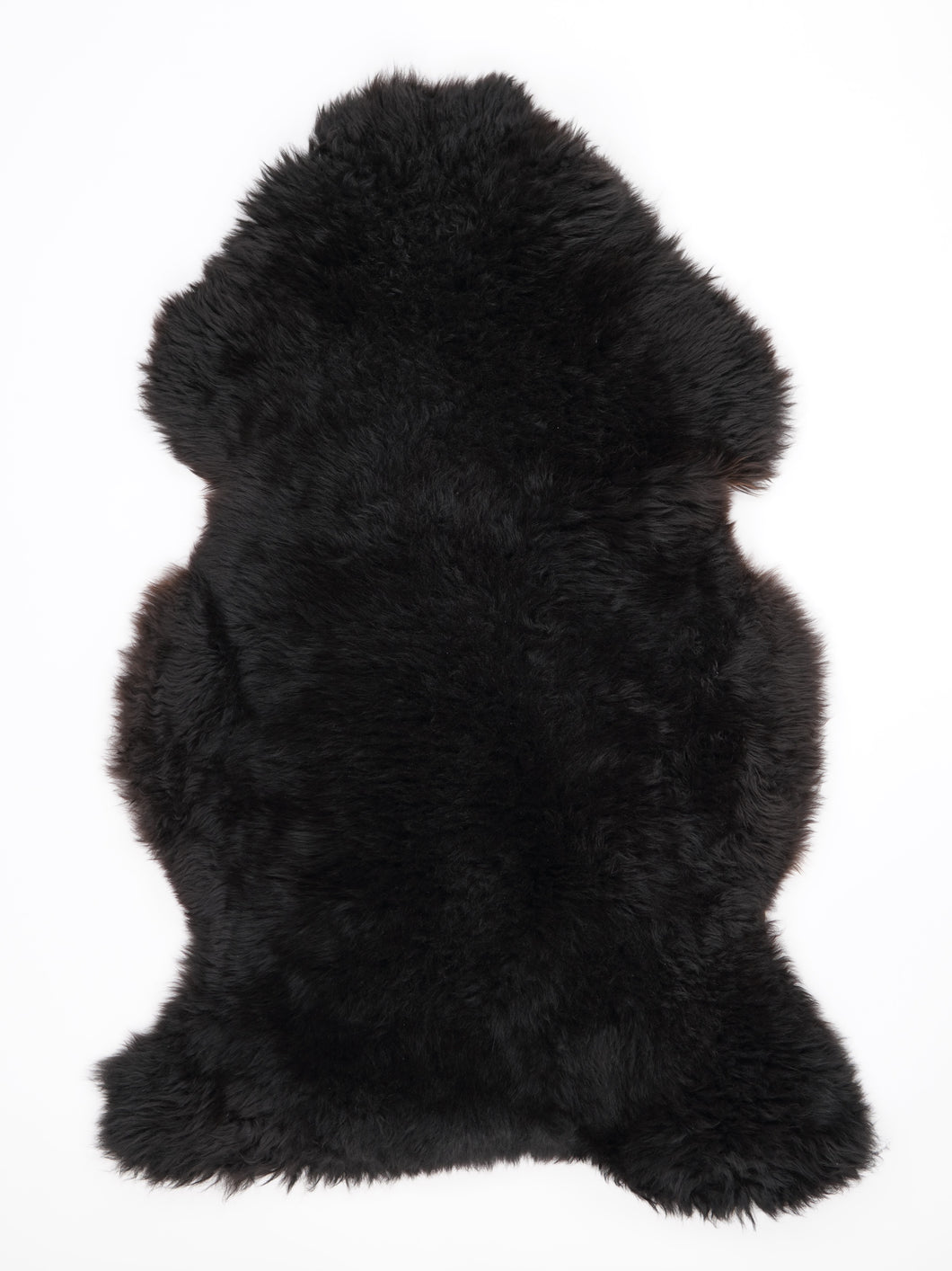 Įvairiaspalvis avikailis XXL