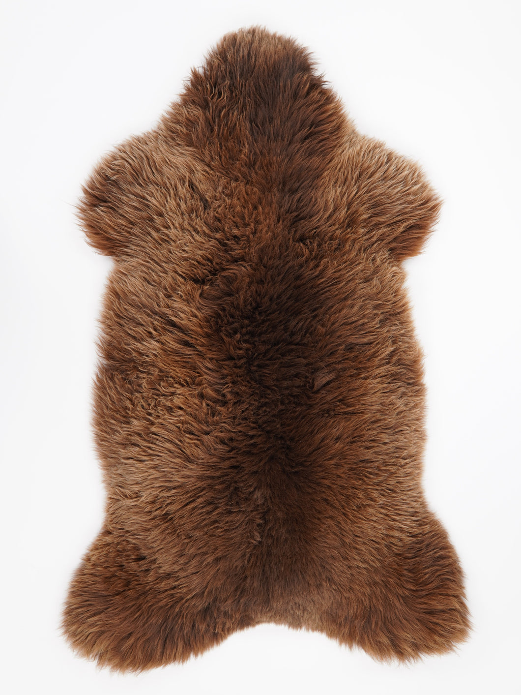 Įvairiaspalvis avikailis XXL