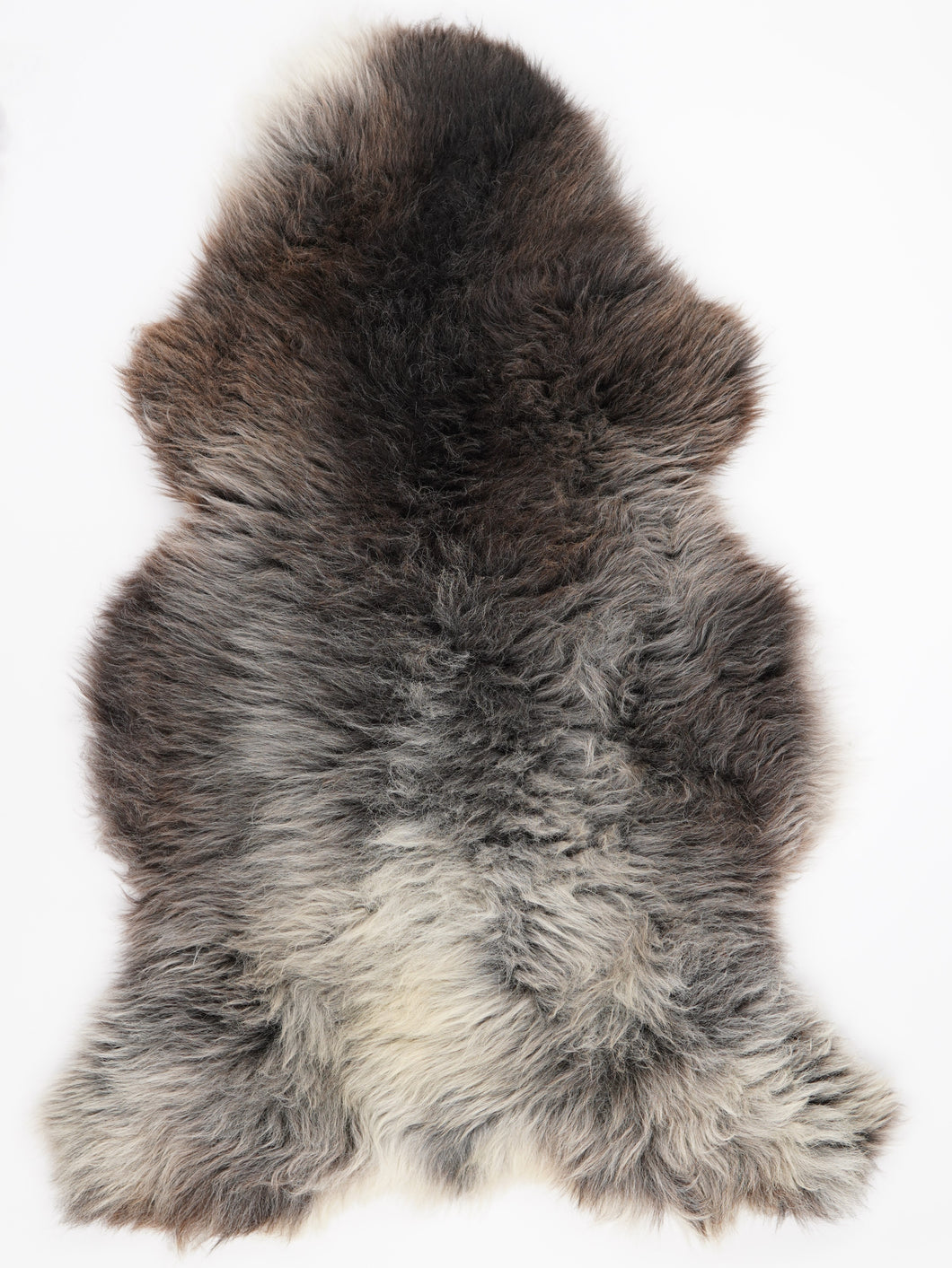 Įvairiaspalvis avikailis XXL