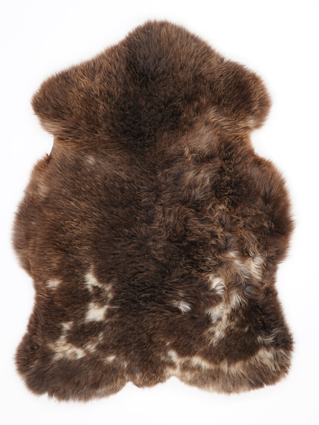 Įvairiaspalvis avikailis M