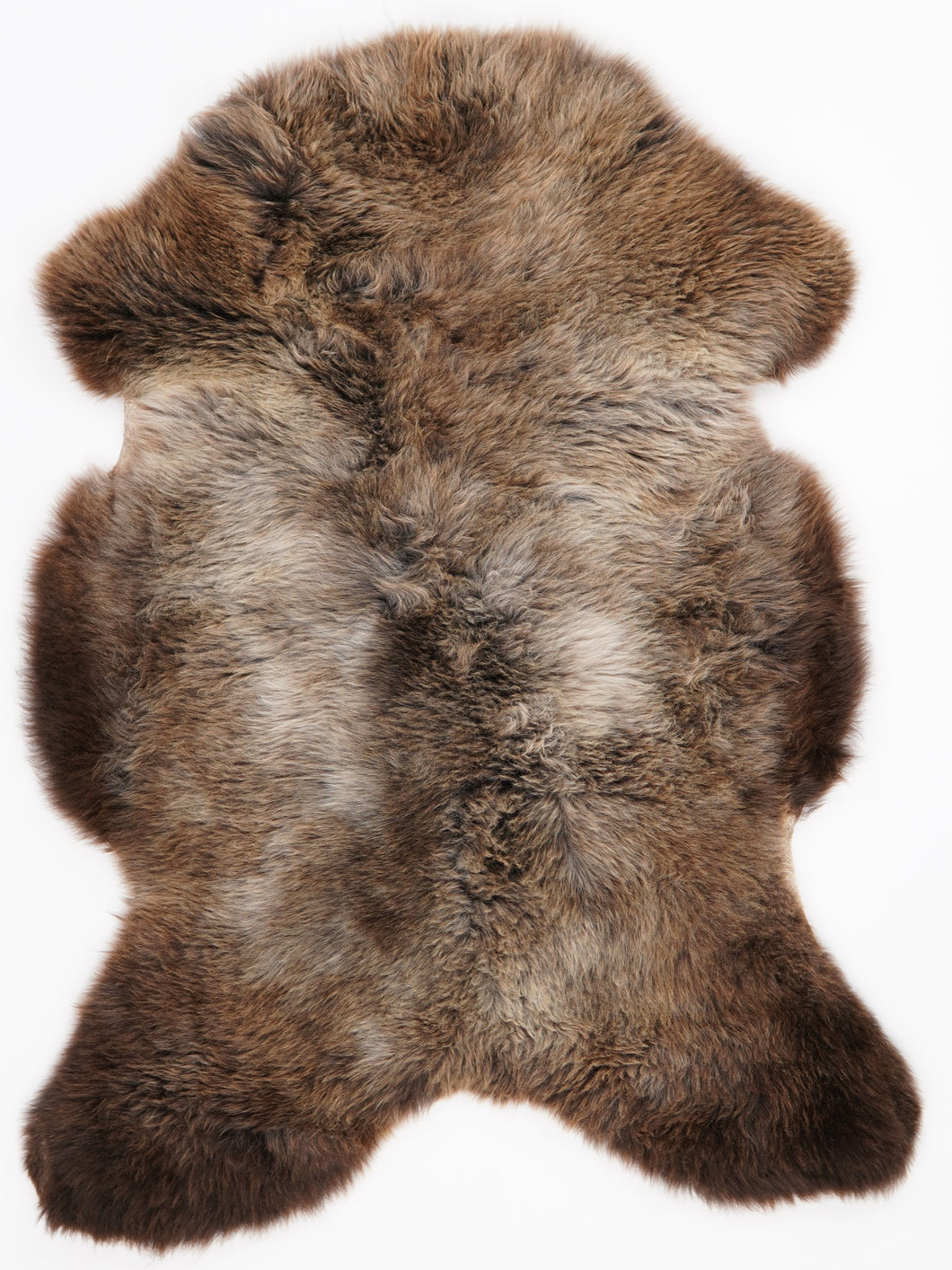 Įvairiaspalvis avikailis L