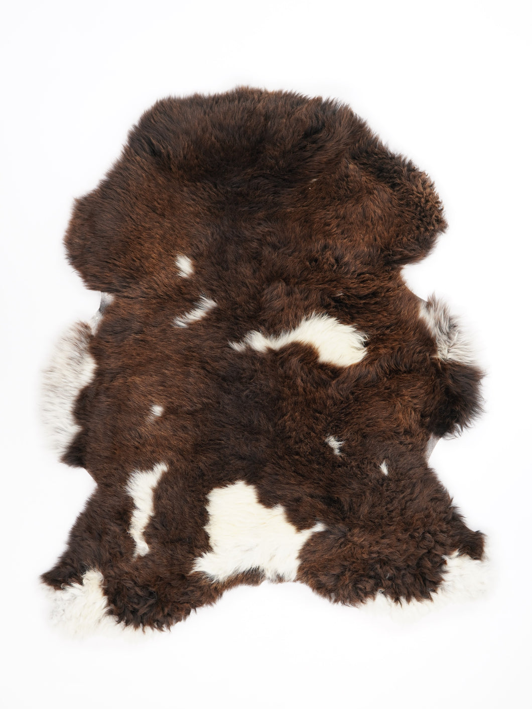 Įvairiaspalvis avikailis M