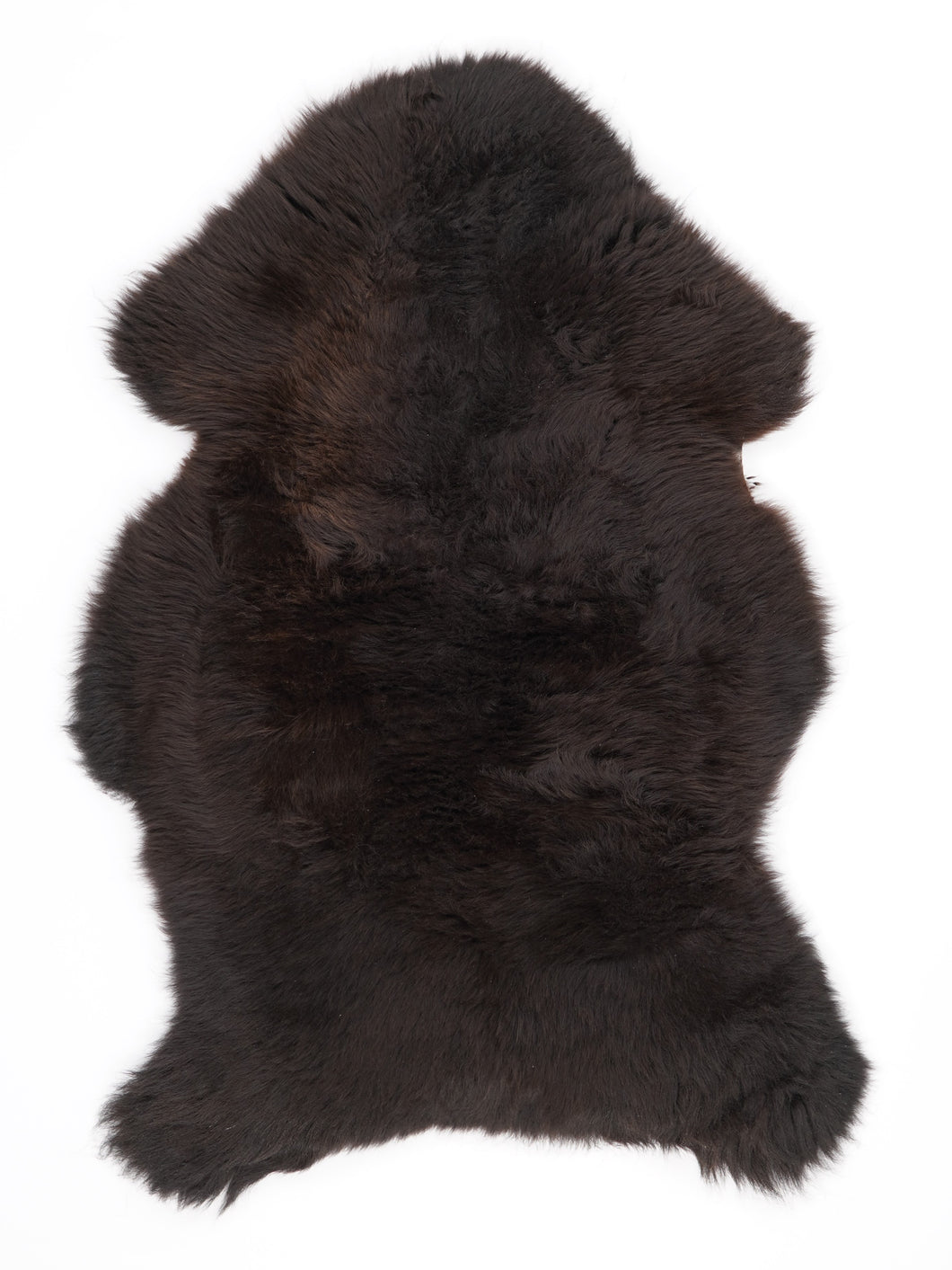 Įvairiaspalvis avikailis M