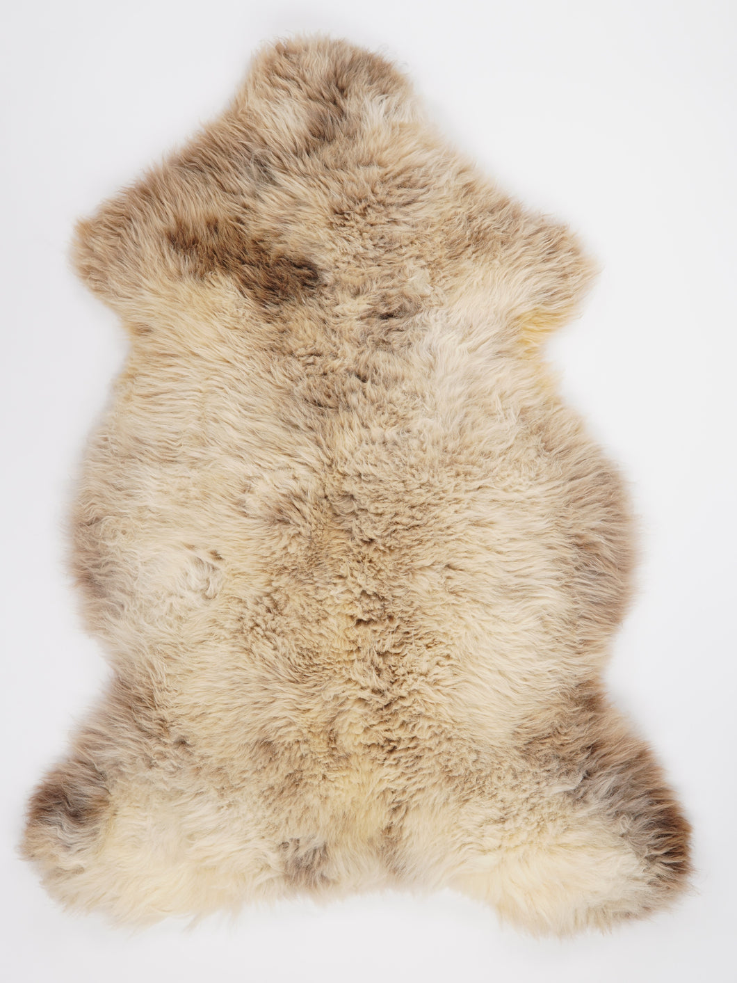 Įvairiaspalvis avikailis XXL