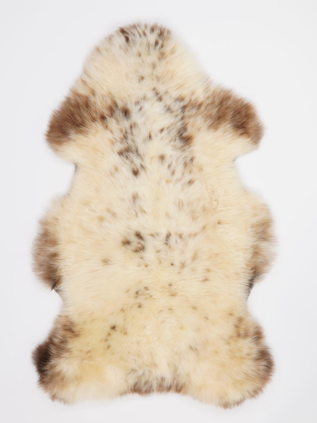 Įvairiaspalvis avikailis XL