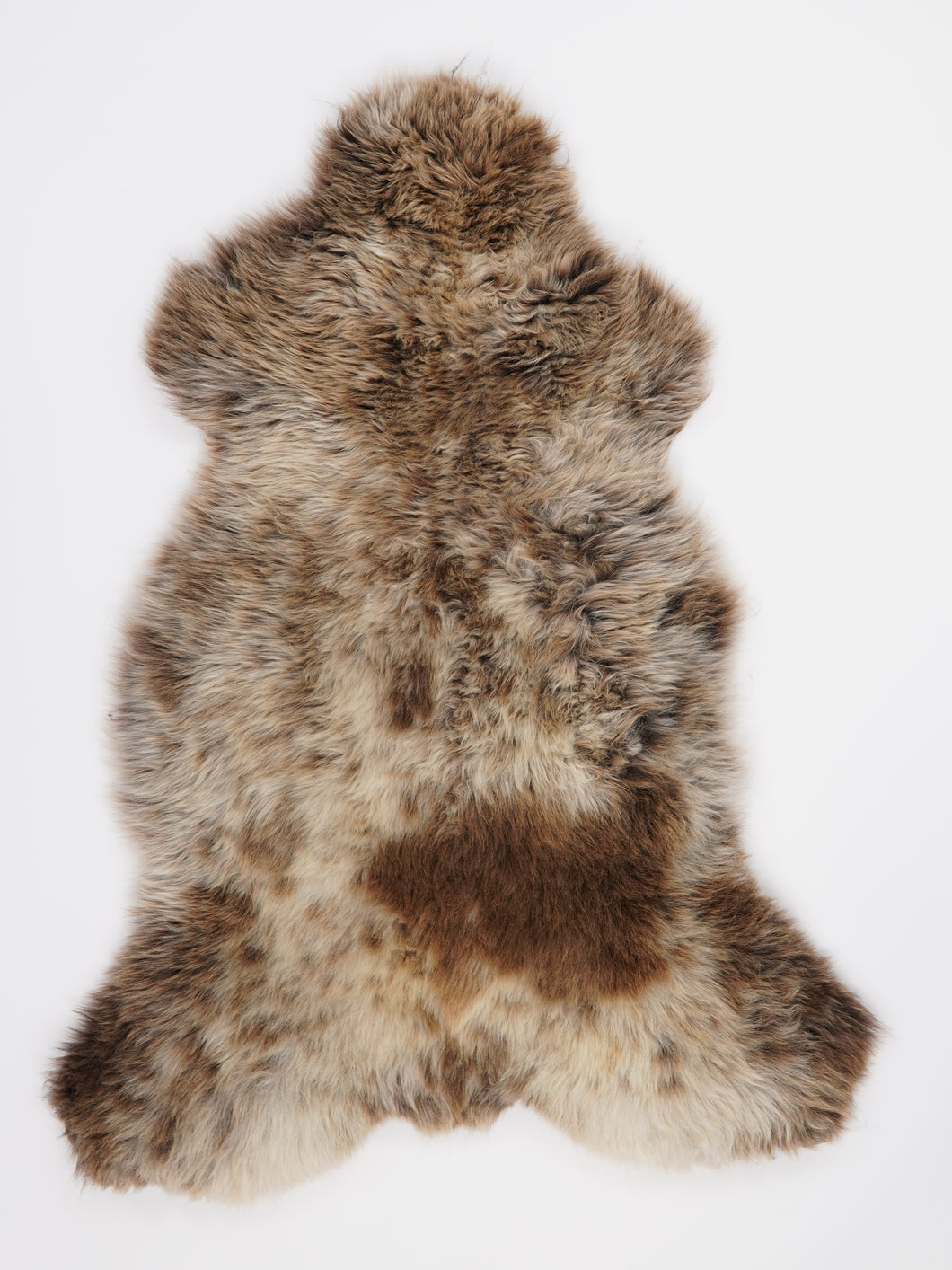 Įvairiaspalvis avikailis L