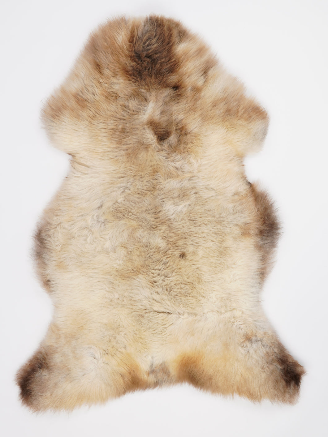 Įvairiaspalvis avikailis XL